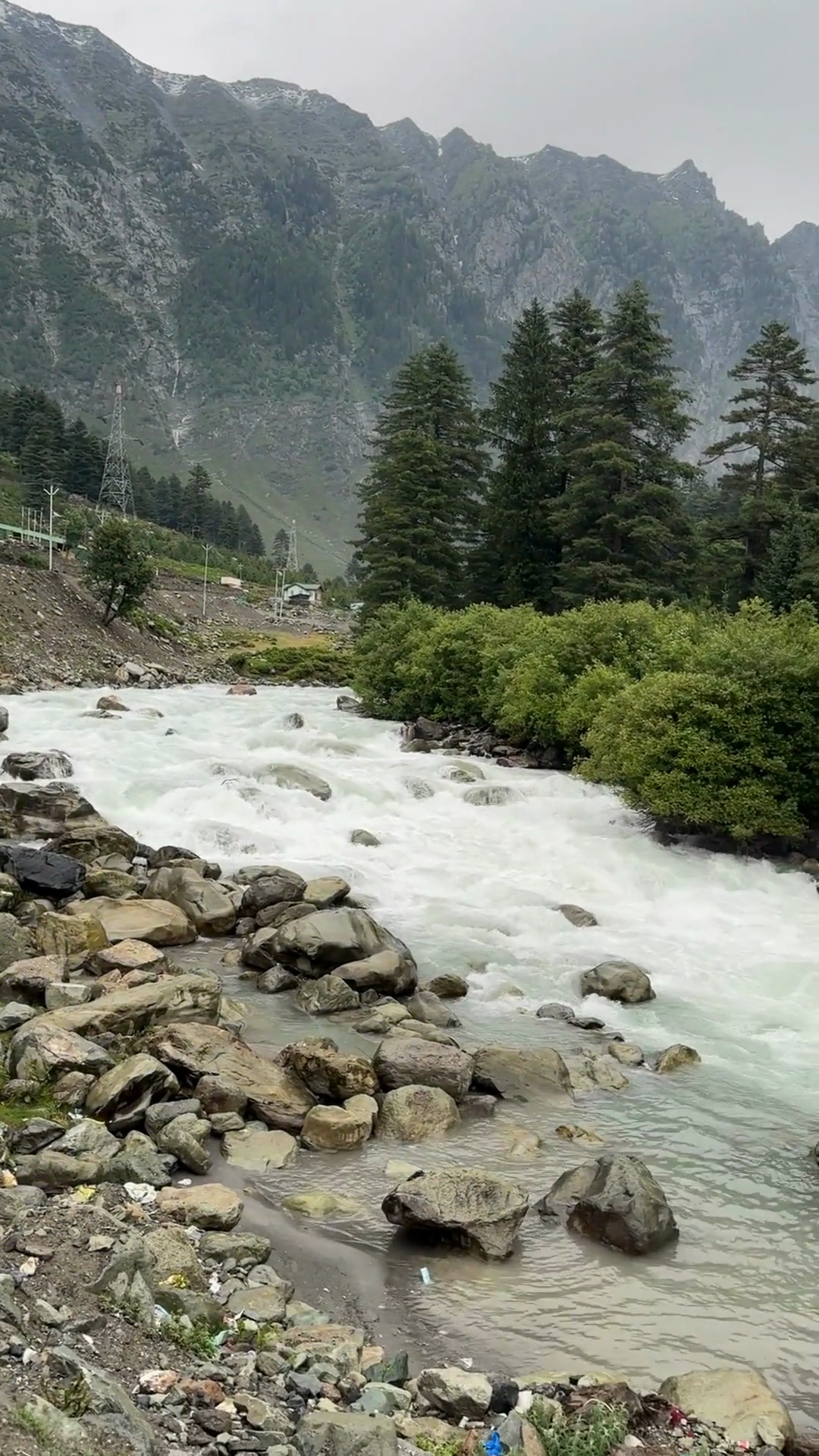 Río de montaña entre rocas y árboles